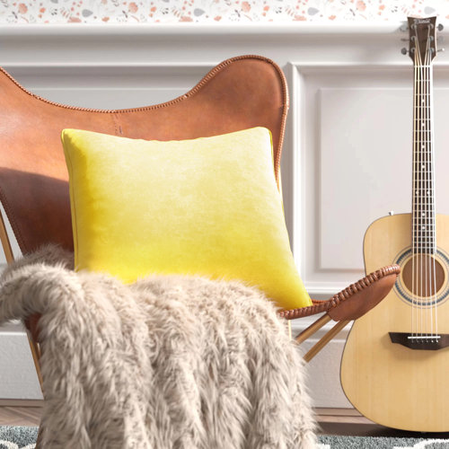 Velvet Throw Pillow & Reviews Birch Lane